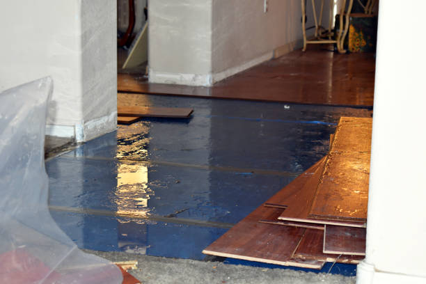 Professional Water Damage Restoration technician working in Jolley, IA